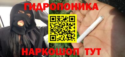 гашик Кандалакша