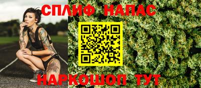 гашик Кандалакша