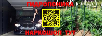 гашик Кандалакша