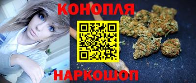 гашик Кандалакша