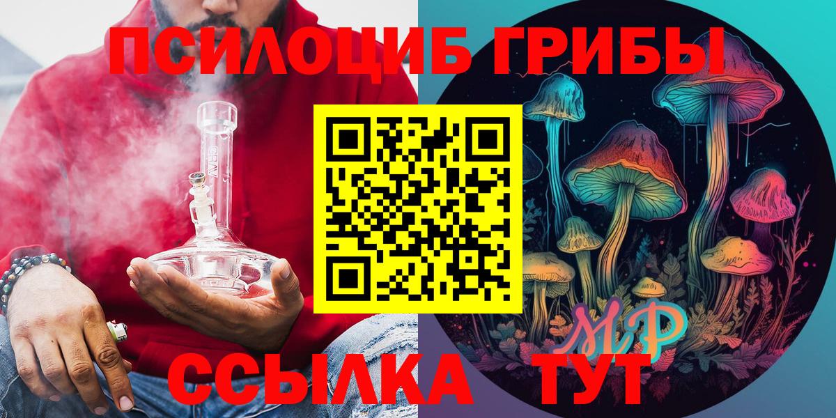 Псилоцибиновые грибы Psilocybine cubensis Красноуфимск